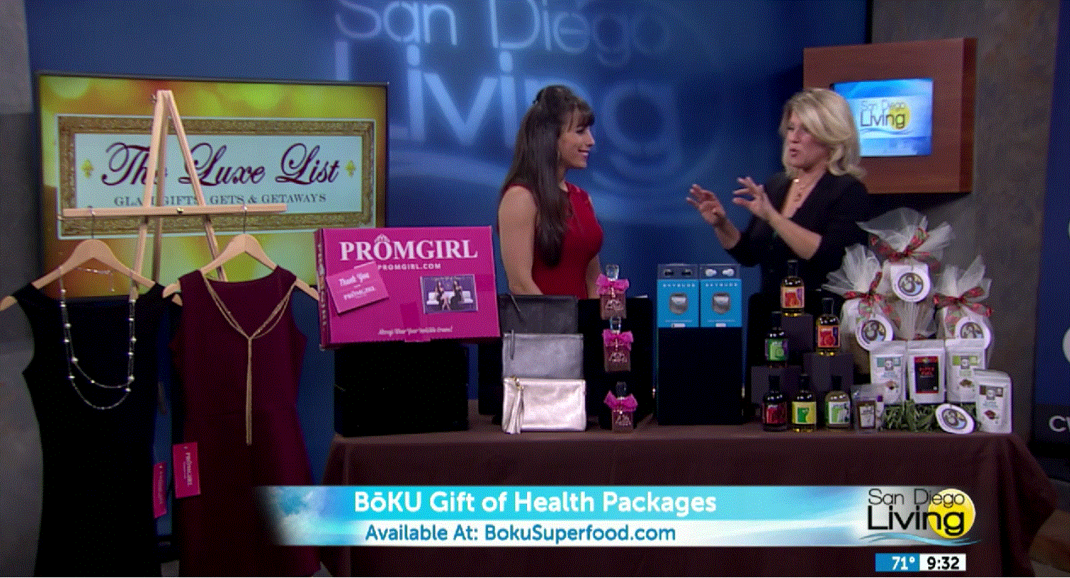 San Diego Living show