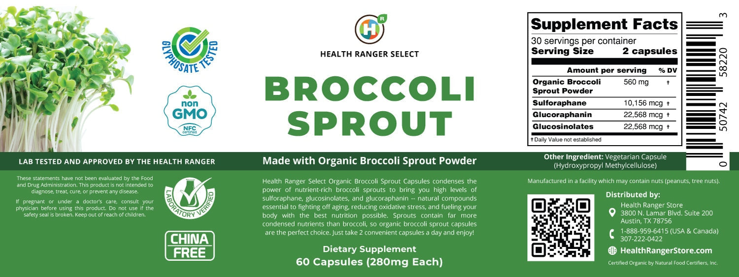 Broccoli Sprouts - 60 capsules - with Organic Broccoli Sprout Powder New Arrivals Brighteon Store 