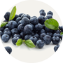 Vegan Organic Boku Superfood Ingredient Blueberry Fiber