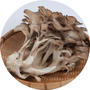 Vegan Organic Boku Superfood Ingredient Maitake Mushroom