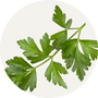 Vegan Organic Boku Superfood Ingredient Parsley