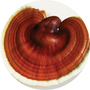 Vegan Organic Boku Superfood Ingredient Reishi Mushroom