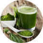 Vegan Organic Boku Superfood Ingredient Young Barley Grass