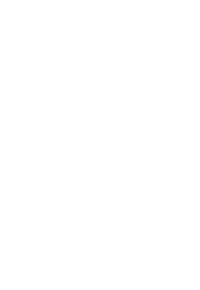 Branch Icon