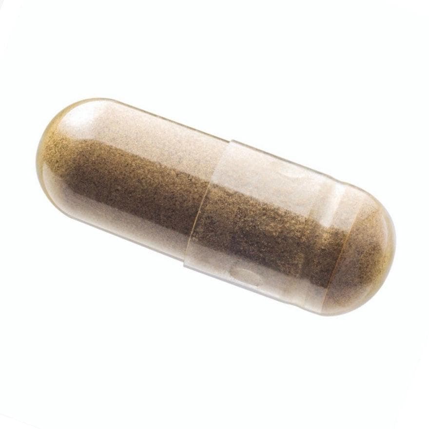 Organic ‘Clarity’ Multi-Mushroom Capsules Wellness Supplements North Spore 
