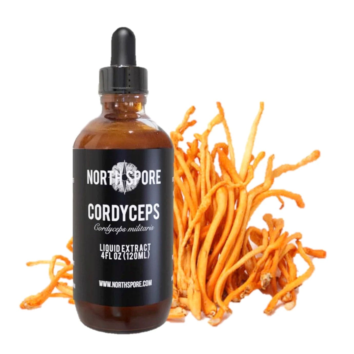 Cordyceps Mushroom Tincture Vitamins & Supplements North Spore 4 fl oz 