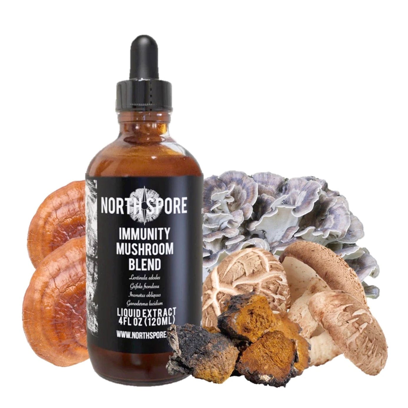 Immunity Mushroom Blend Tincture Wellness Supplements North Spore 4 fl oz 