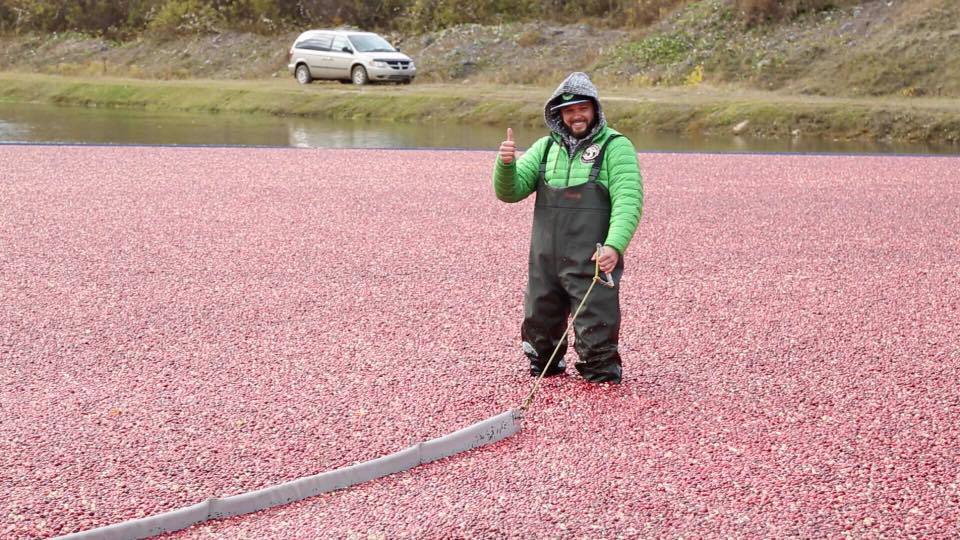 Why the CEO of BoKU and her son are crazy for cranberries…and why you should be too!