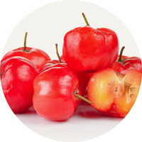 Vegan Organic Boku Superfood Ingredient Acerola Cherry Juice