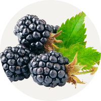 vegan organic Boku Superfood whole food ingredients blackberry