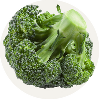 Vegan Organic Boku Superfood Ingredient Broccoli