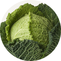 Vegan Organic Boku Superfood Ingredient Cabbage