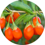 Vegan Organic Boku Superfood Ingredient Goji Berries