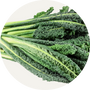 Vegan Organic Boku Superfood Ingredient Kale
