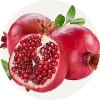 Vegan Organic Boku Superfood Ingredient Pomegranate