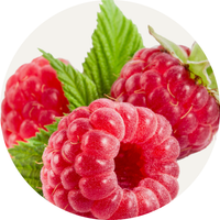Vegan Organic Boku Superfood Ingredient Raspberries