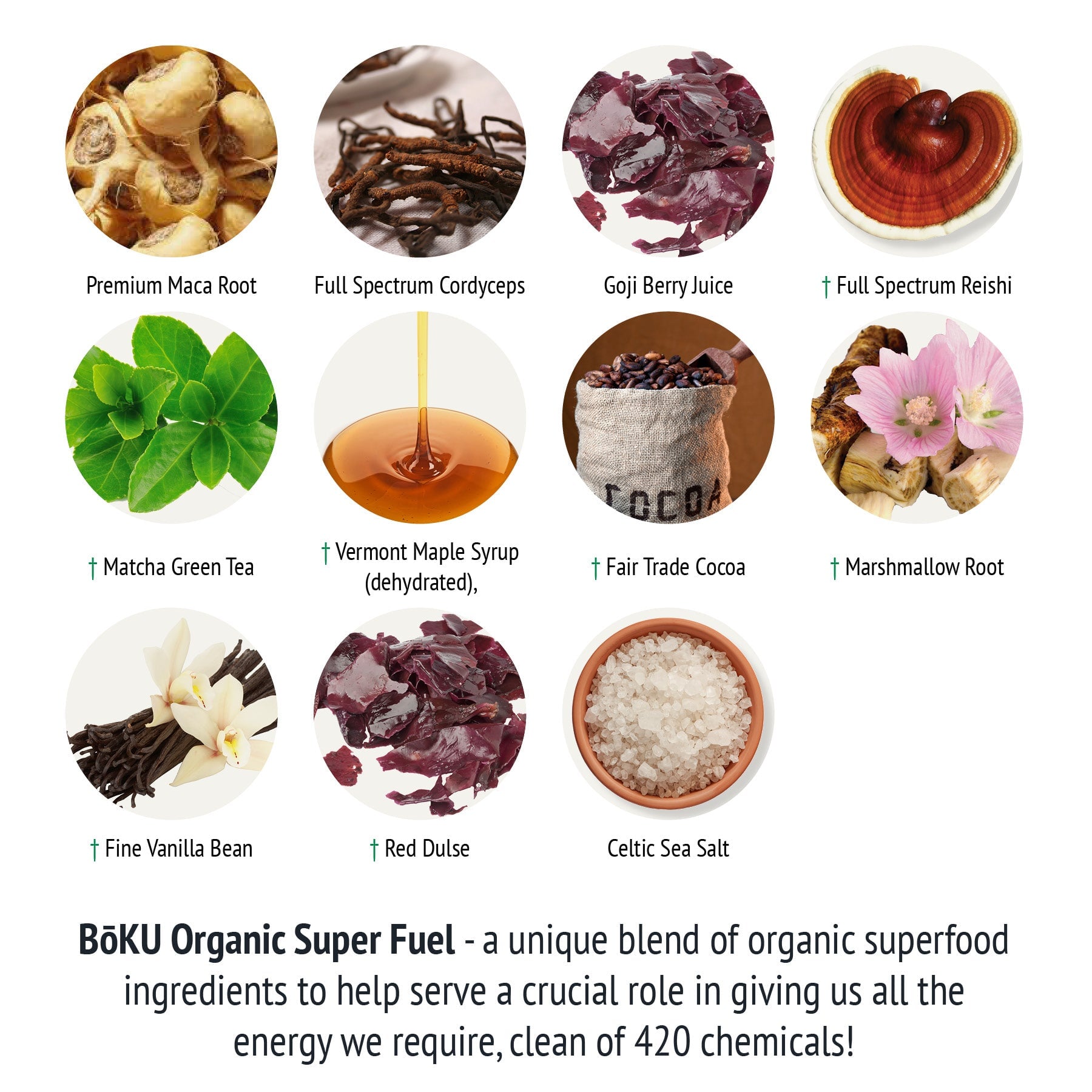 Super Fuel Powders BoKU® Superfood 