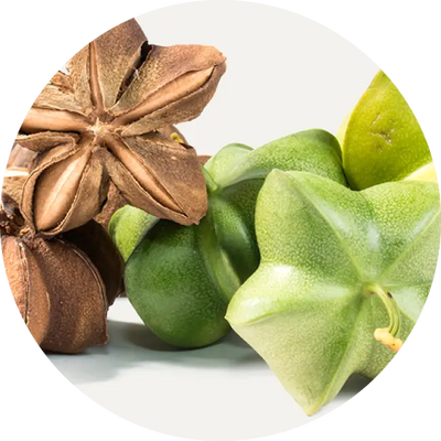 vegan organic Boku Superfood whole food ingredients sacha inchi