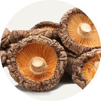 Vegan Organic Boku Superfood Ingredient Shiitake Mushroom