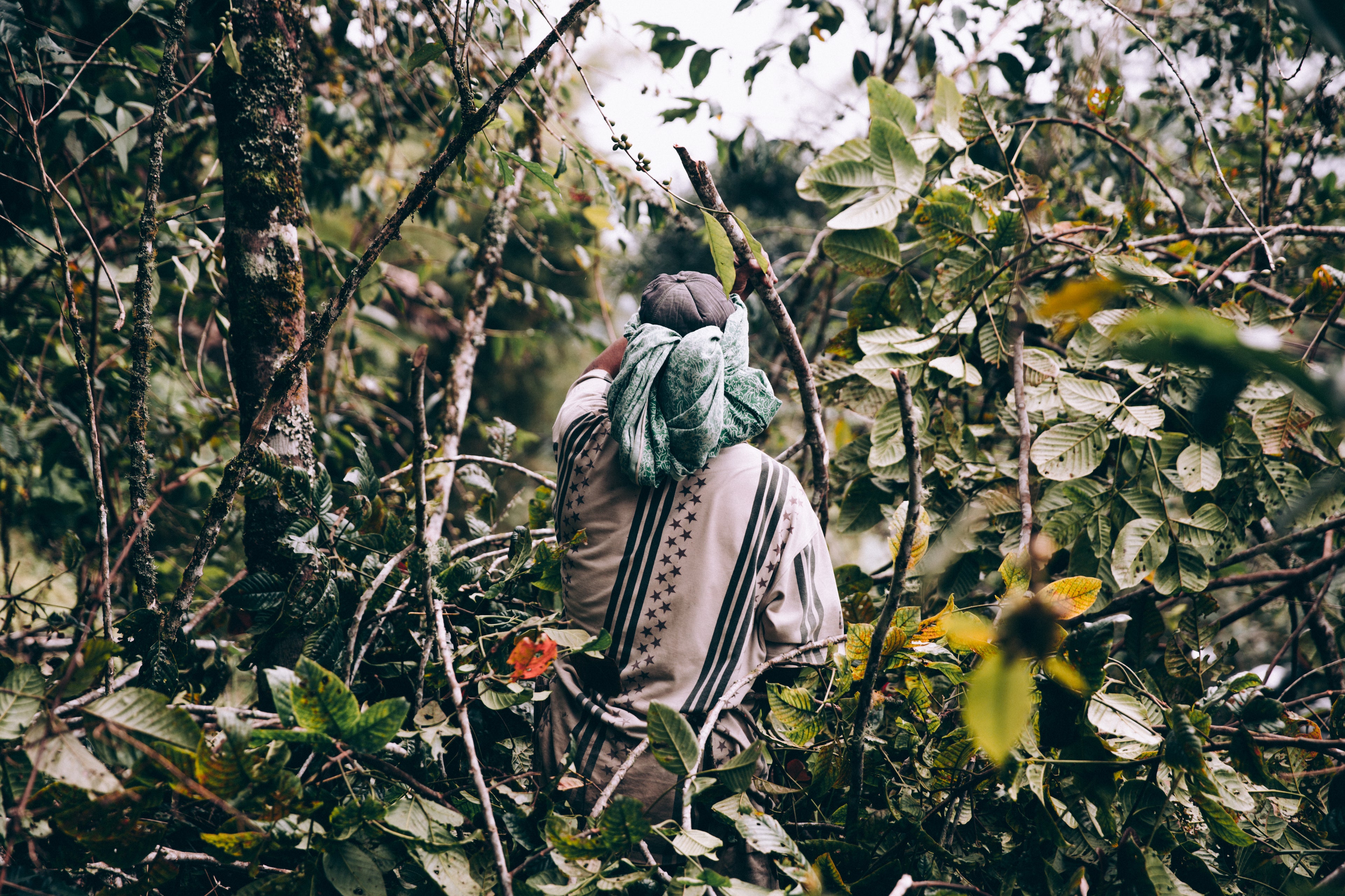 man wearing loose clothing walks through forest