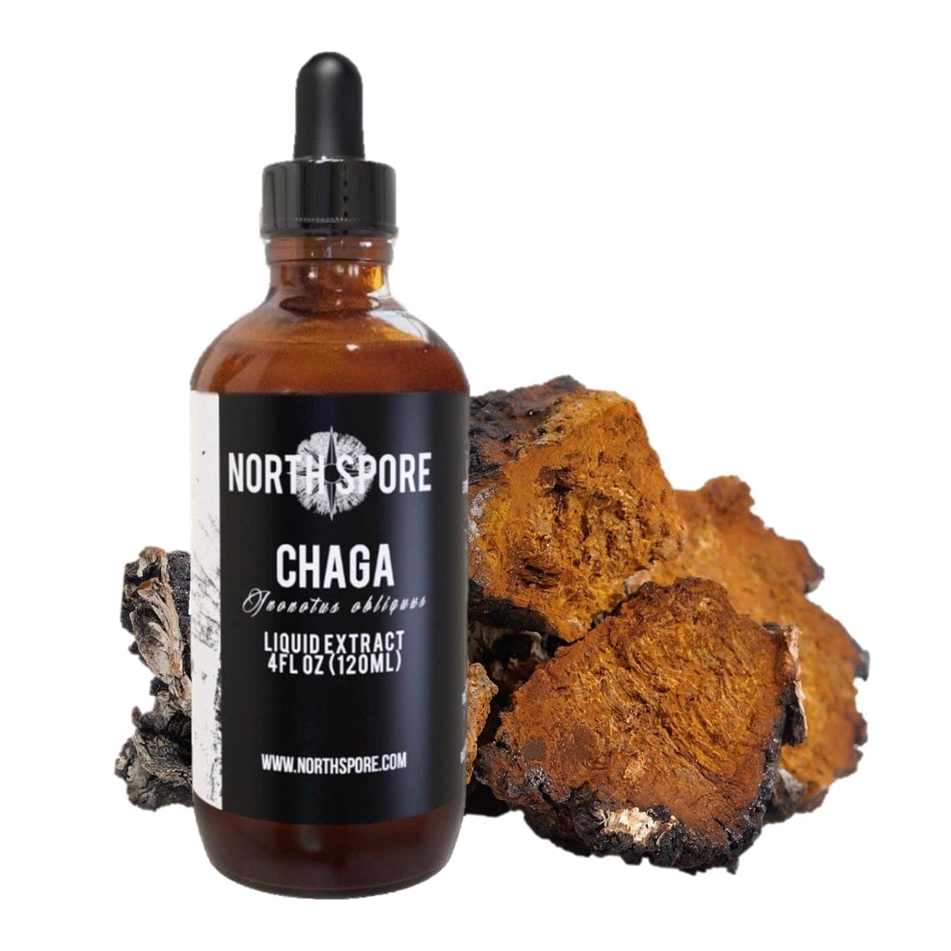 Chaga Mushroom Tincture Wellness Supplements North Spore 4 fl oz 