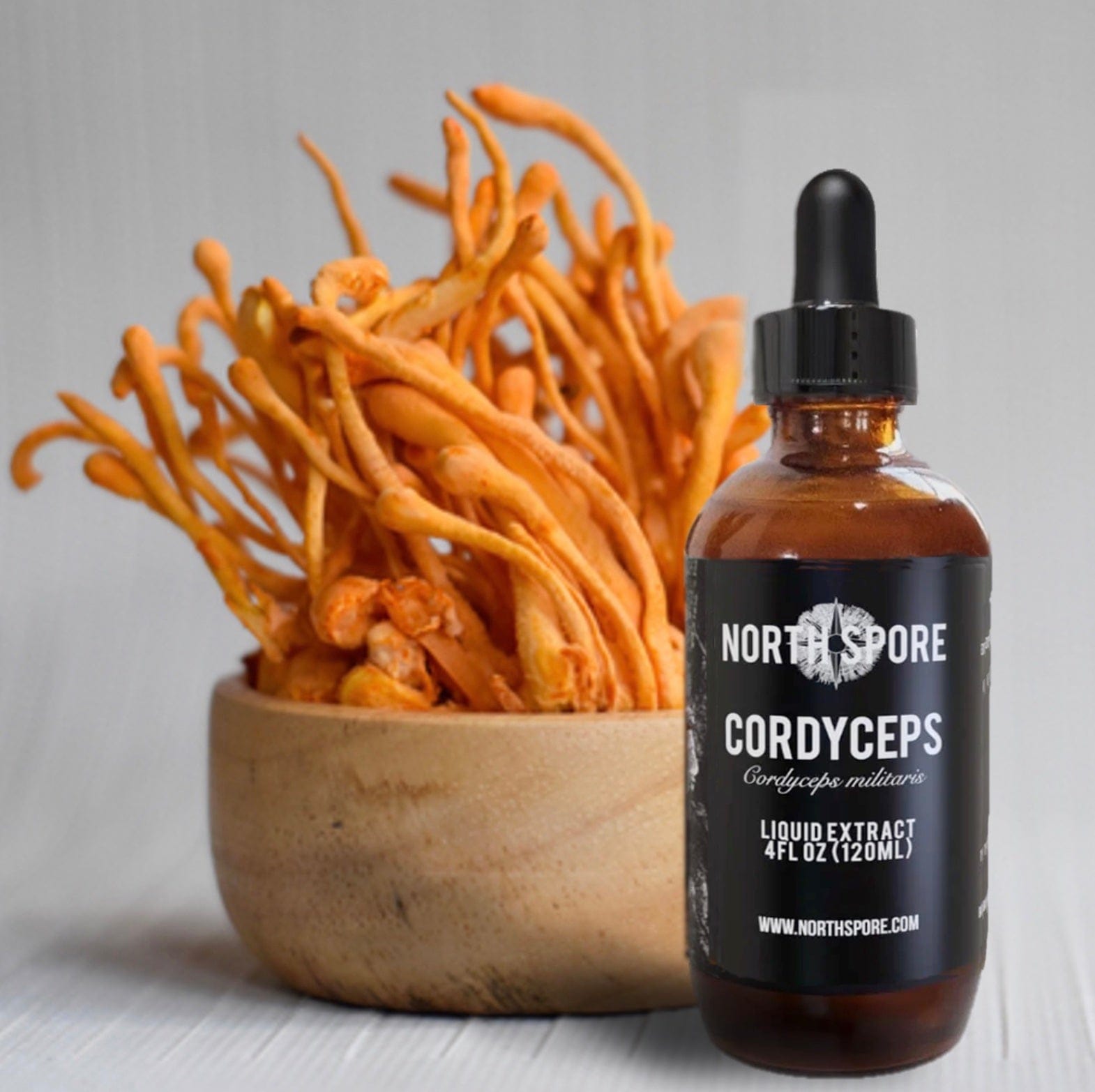 Cordyceps Mushroom Tincture Vitamins & Supplements North Spore 