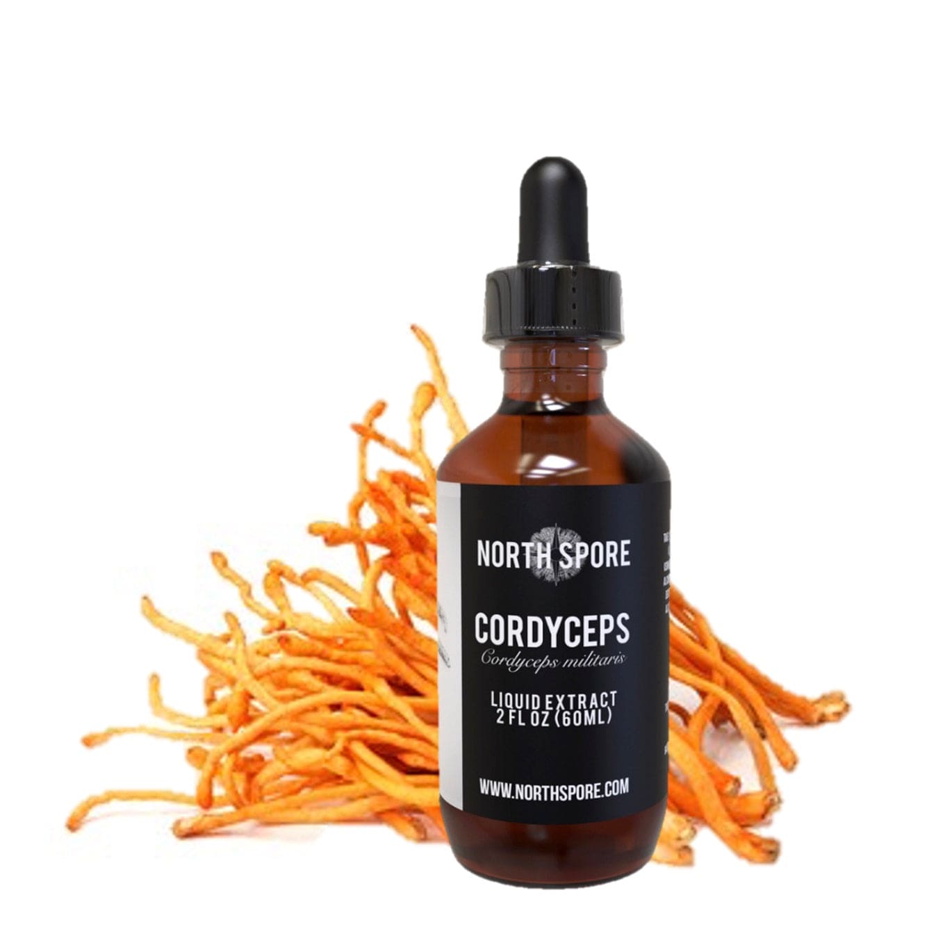 Cordyceps Mushroom Tincture Vitamins & Supplements North Spore 2 fl oz 