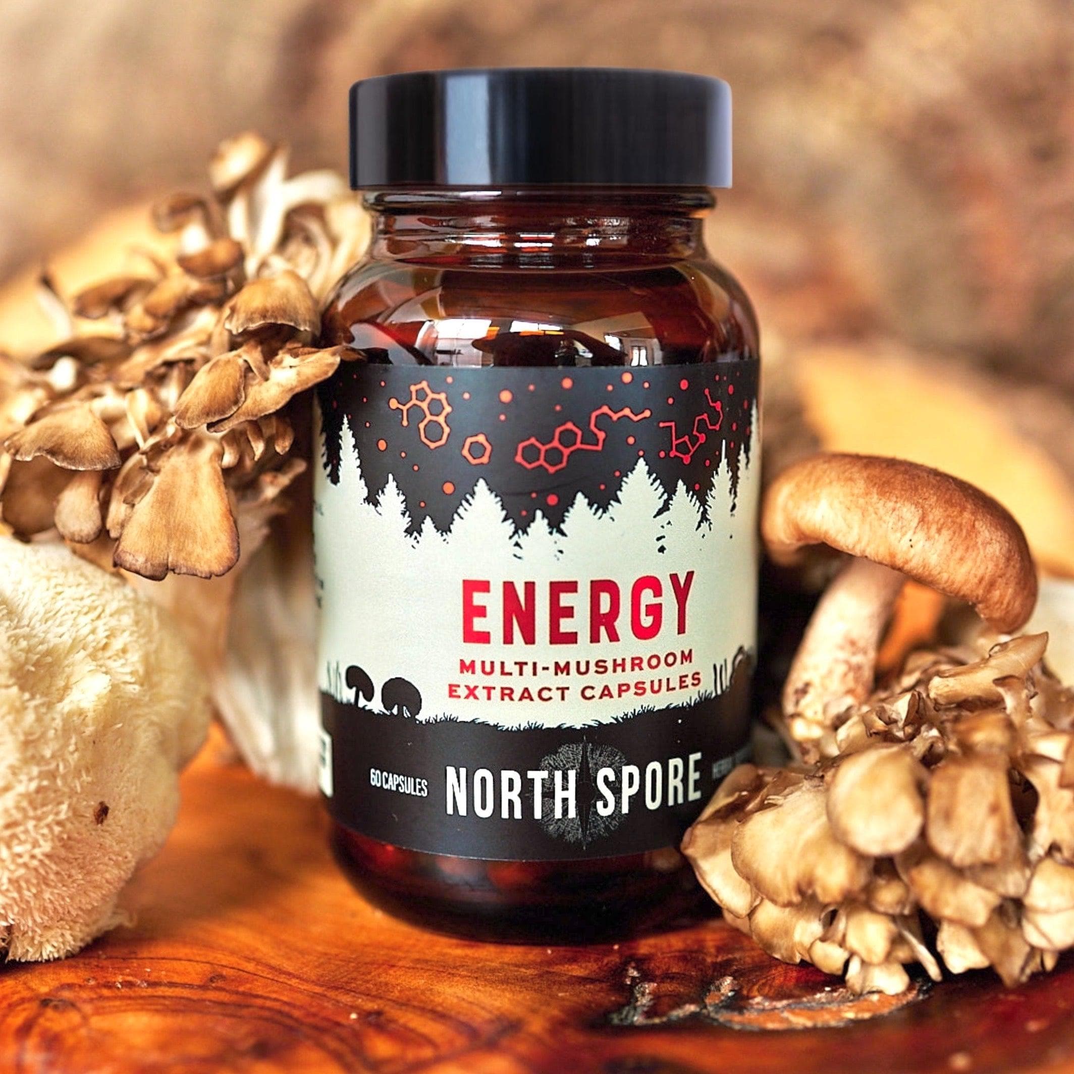 Organic ‘Energy’ Multi-Mushroom Capsules Wellness Supplements North Spore 