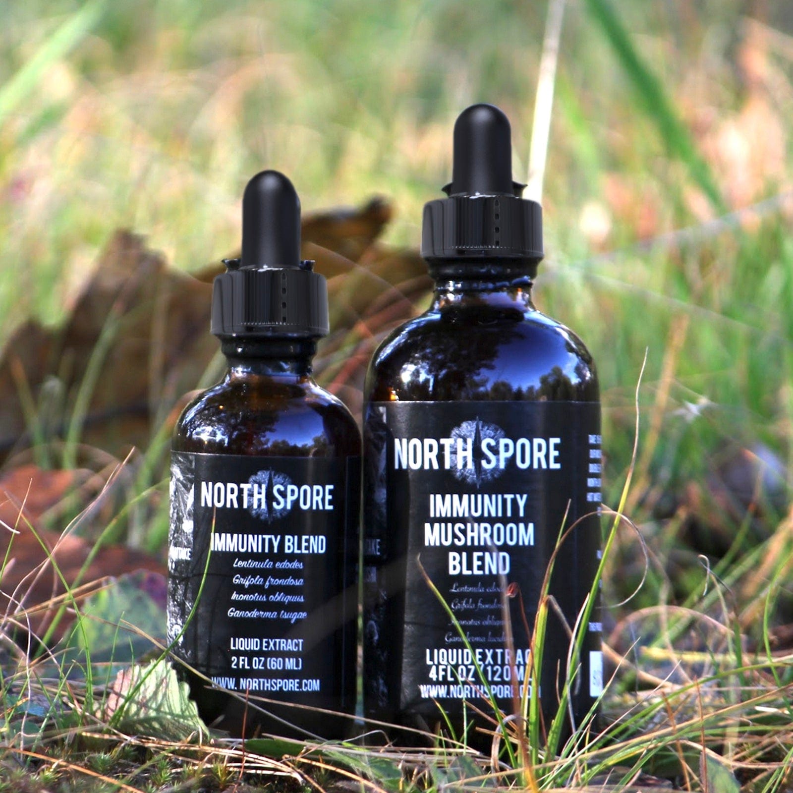 Immunity Mushroom Blend Tincture Wellness Supplements North Spore 