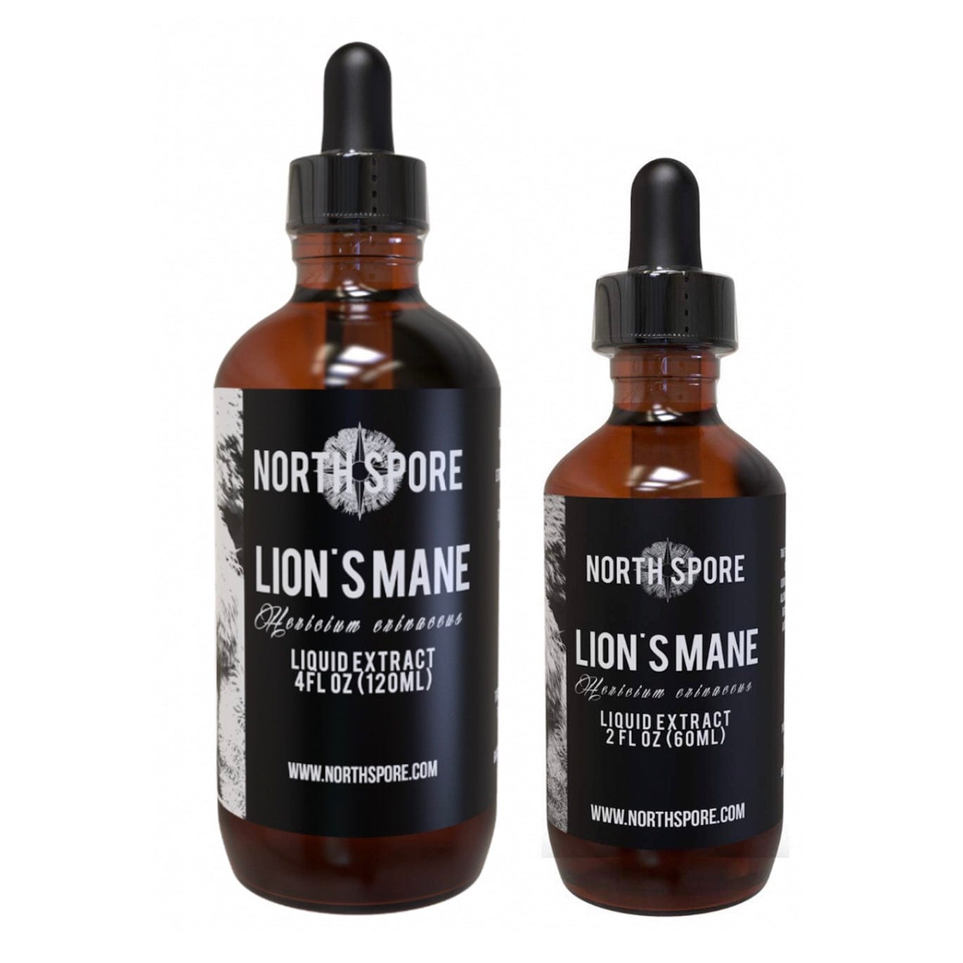 Lion's Mane Mushroom Tincture Wellness Supplements North Spore 