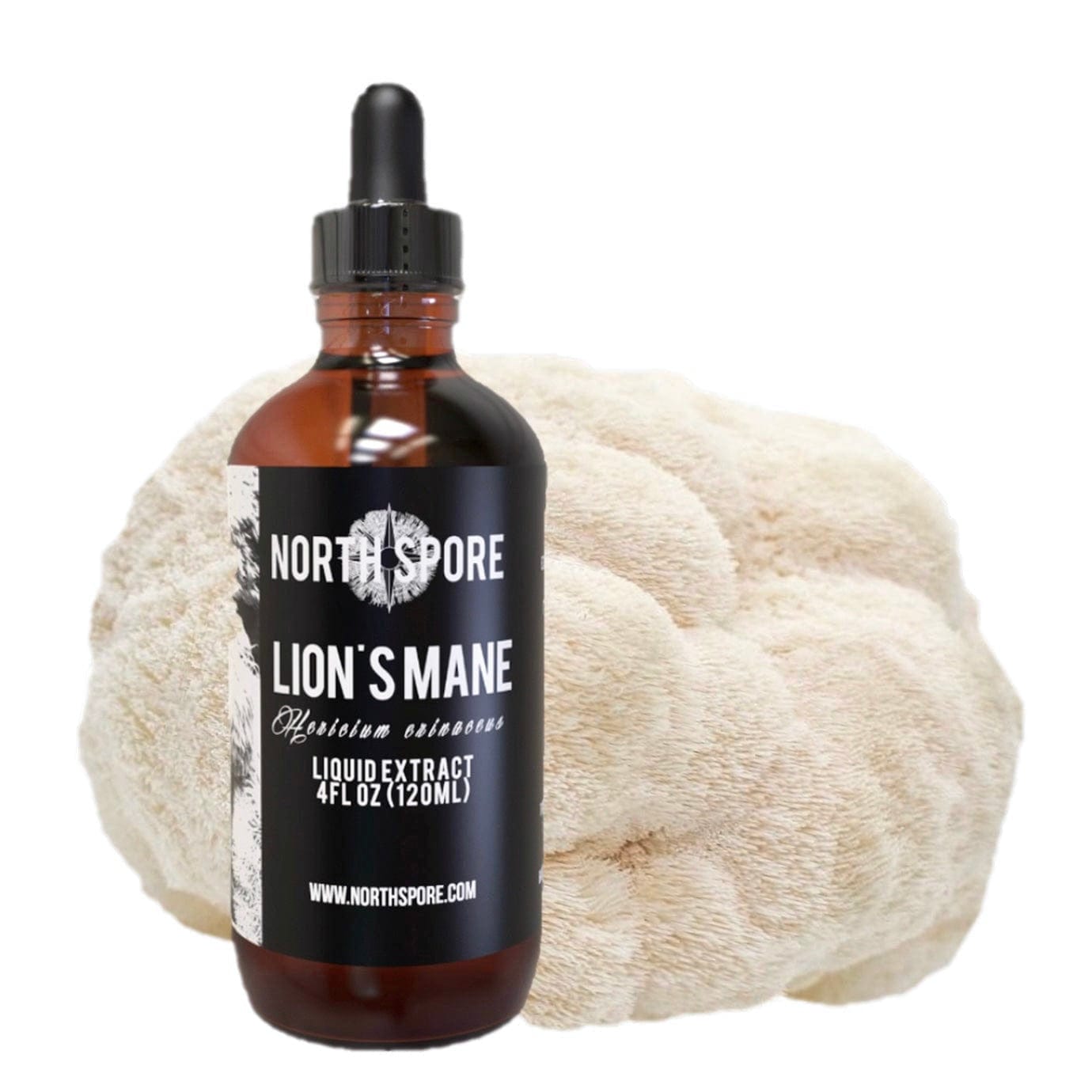 Lion's Mane Mushroom Tincture Wellness Supplements North Spore 4 fl oz 