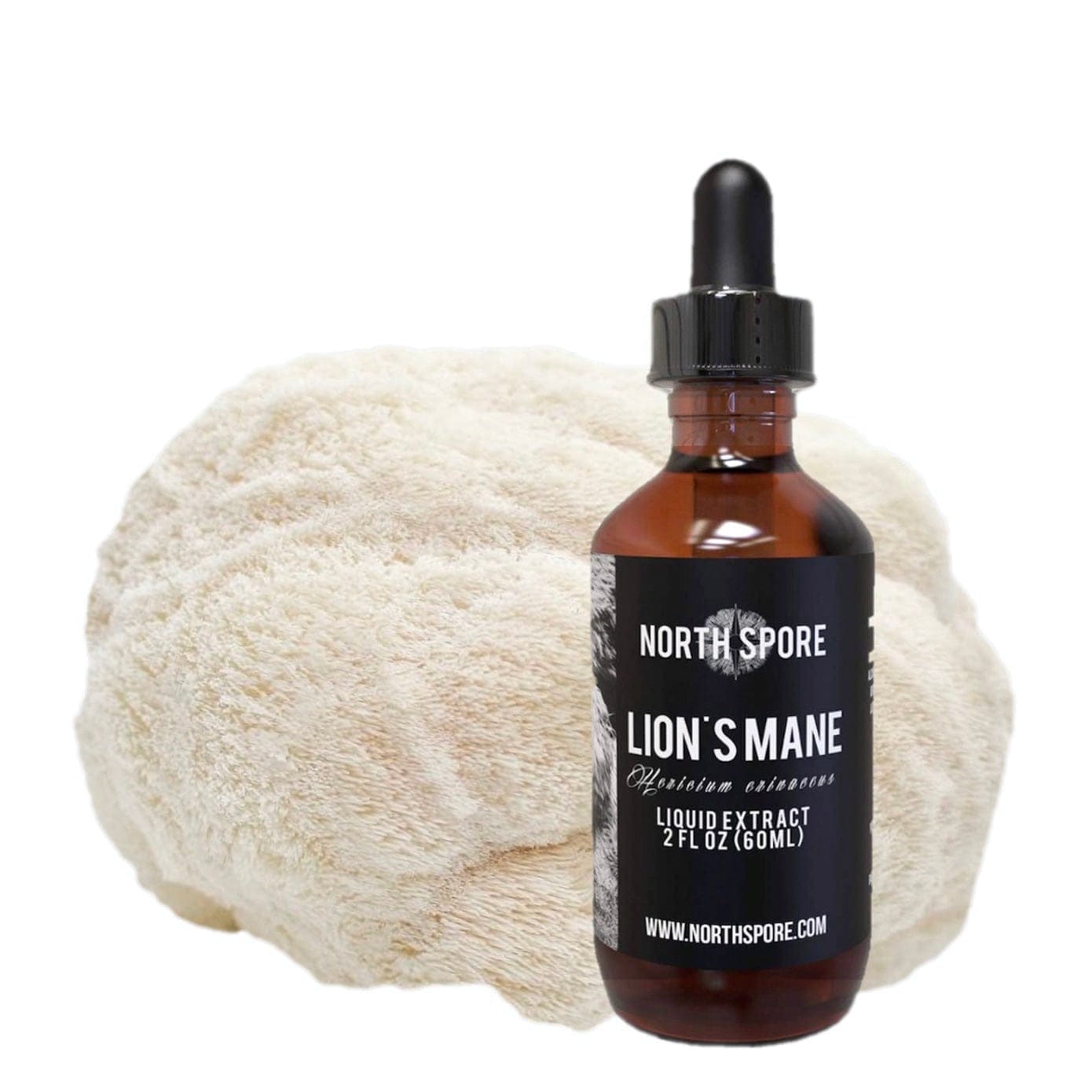 Lion's Mane Mushroom Tincture Wellness Supplements North Spore 2 fl oz 
