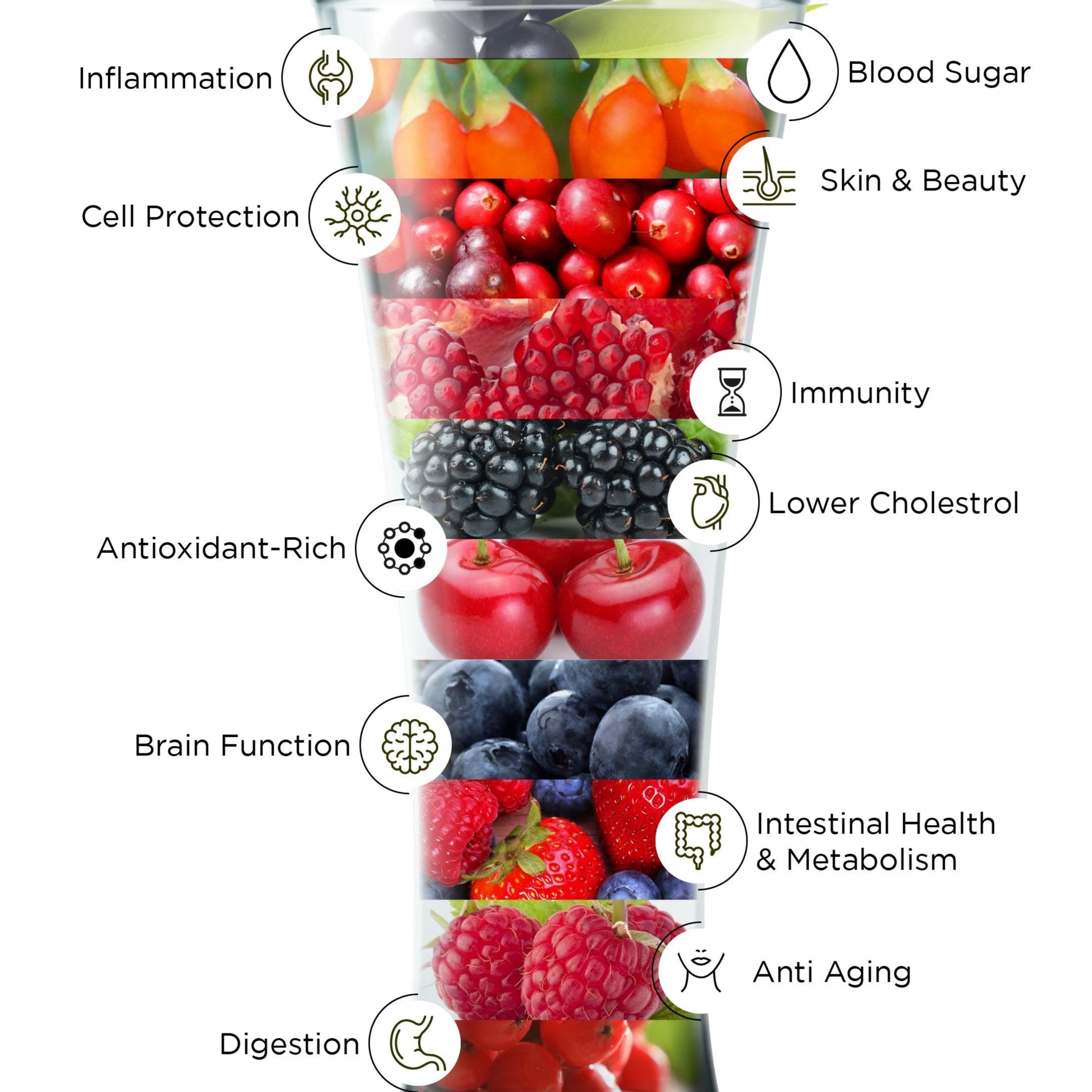 organic antioxidant Super Berries