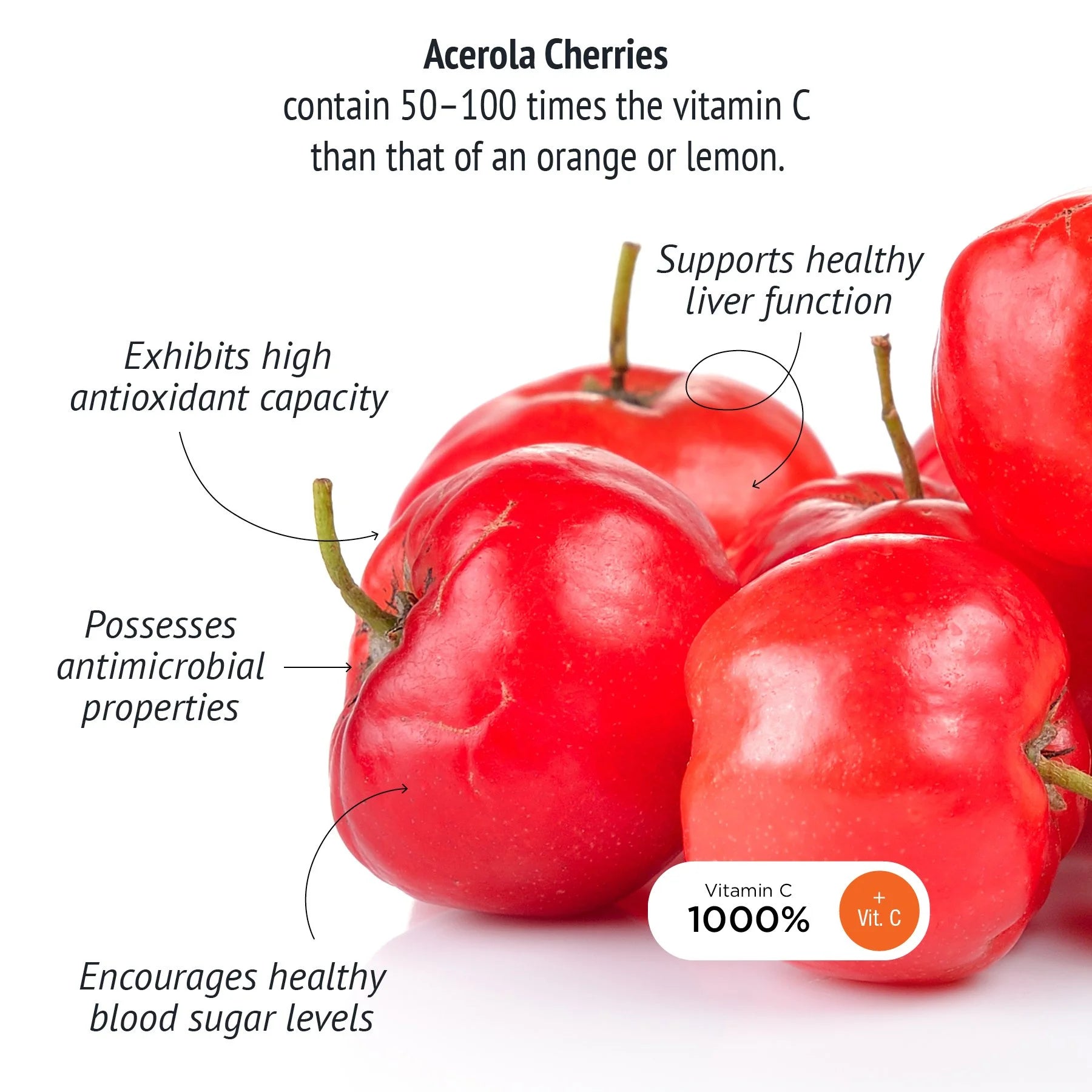 organic Boku Super-C-Biotic acerola cherries