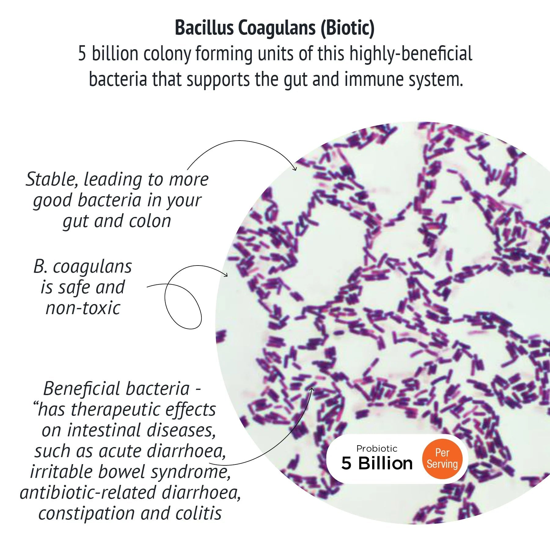 vegan probiotic Boku Super-C-Biotic bacillus coagulans 